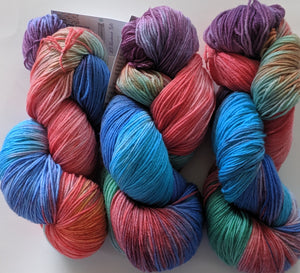 Hand Dyed SW Merino/Nylon Fingering Weight - "Messier CA"