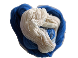 Hand Dyed SW Merino/Nylon Fingering Weight - "Kentucky"